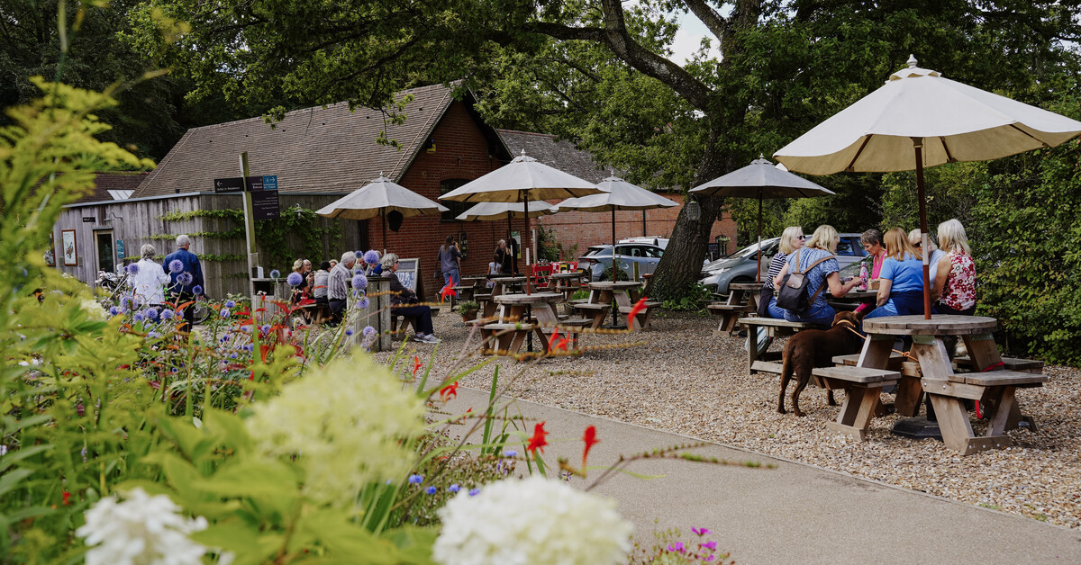 Watts Gallery Café