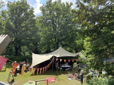 Families take part in activities outside on a sunny day