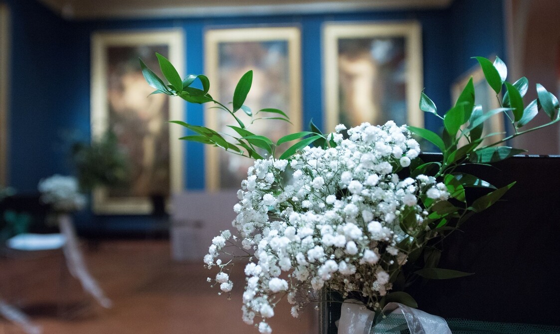 Close up of white flowers